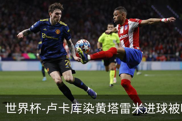 世界杯-卢卡库染黄塔雷米进球被吹 比利时半场0-0伊朗